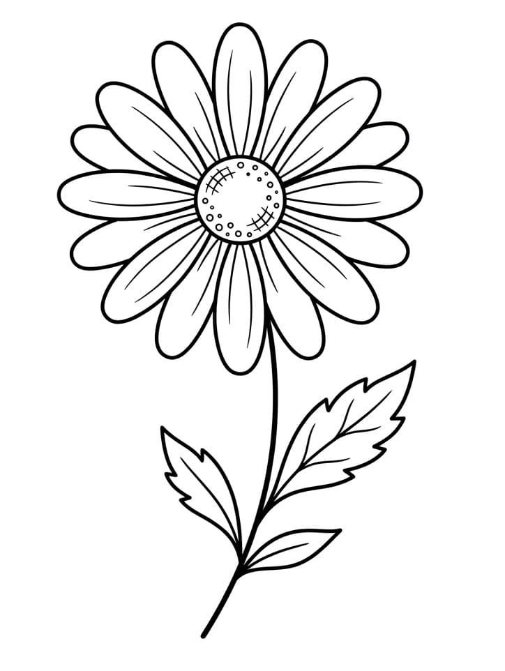 Schönes Gänseblümchen ausmalbilder