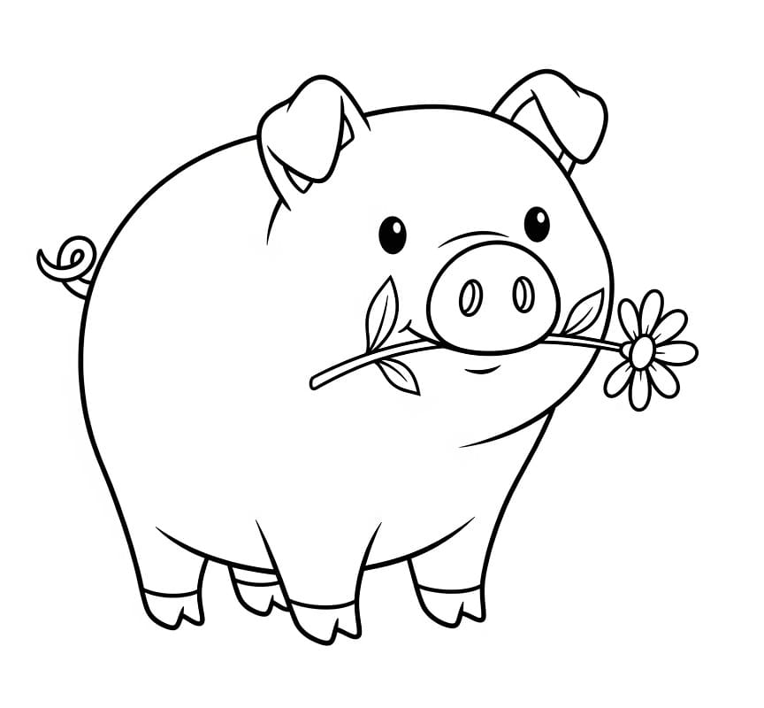 Schwein ausmalbilder