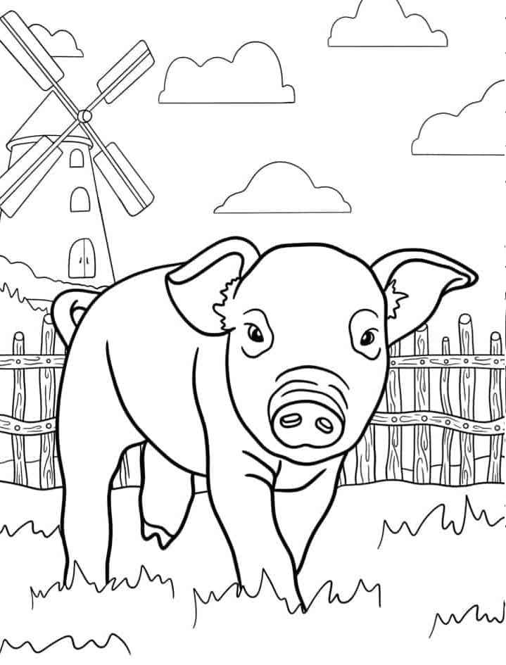 Schwein zum Drucken ausmalbilder