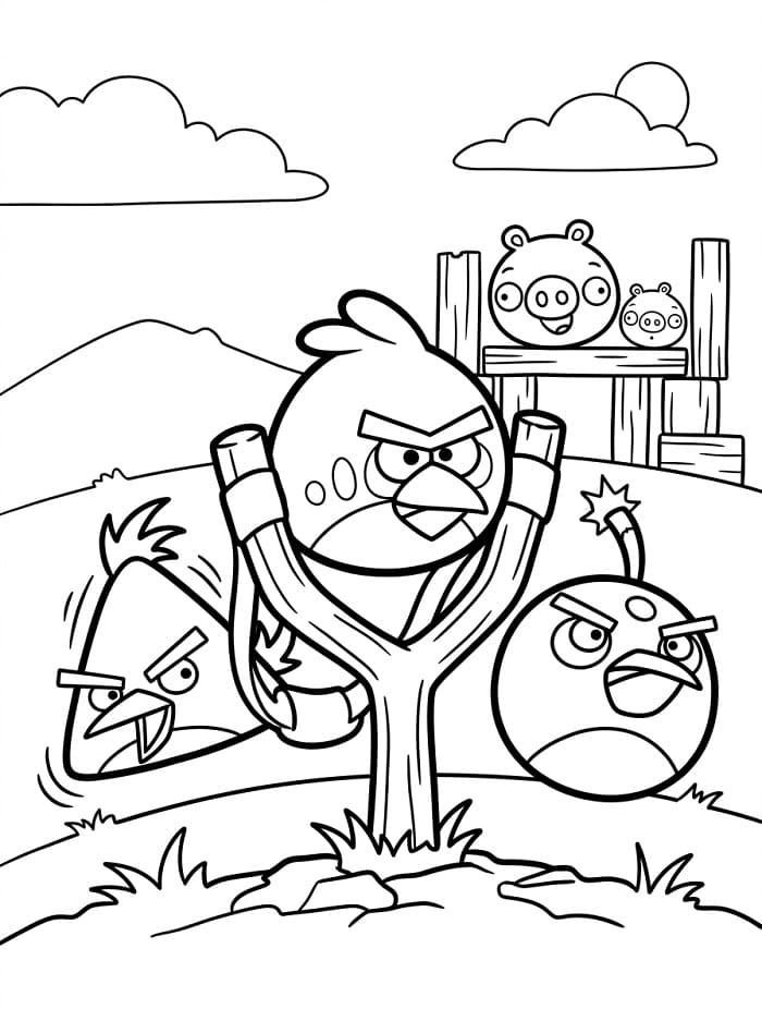 Sehr niedliche Angry Birds ausmalbilder