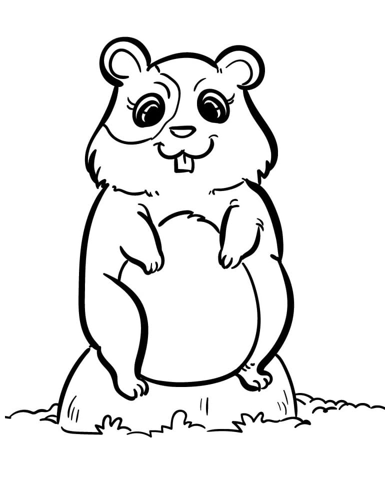 Hamster ausmalbilder