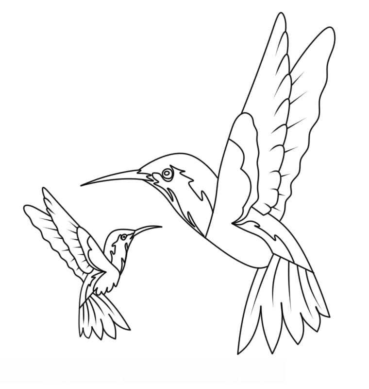 Sehr niedlicher Kolibri ausmalbilder