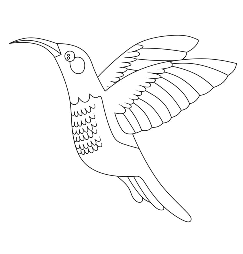 Süßer Kolibri ausmalbilder