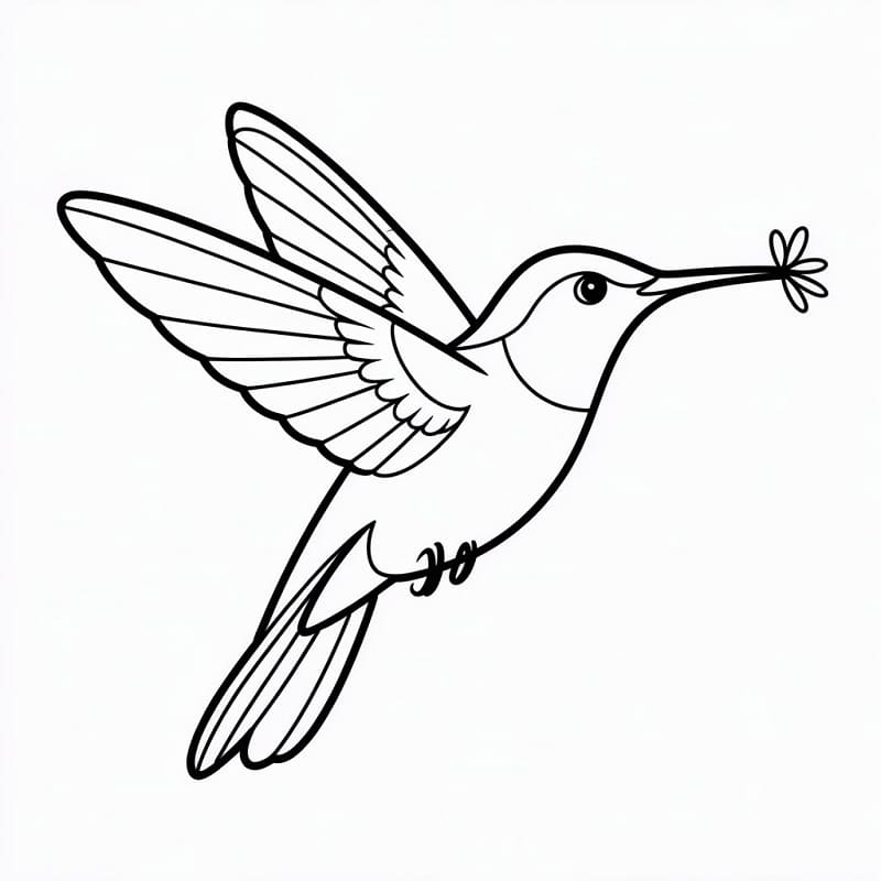 Toller Kolibri ausmalbilder