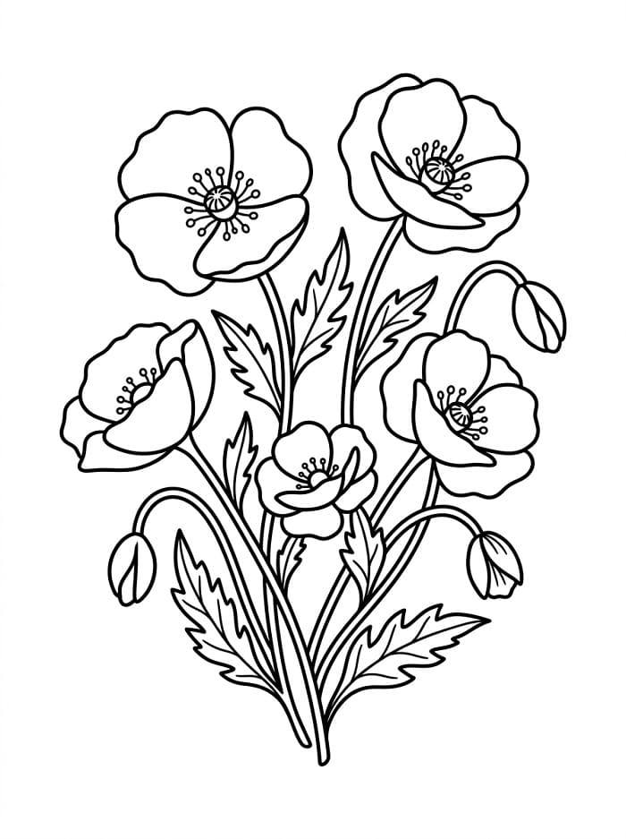 Wunderschöne Mohnblumen ausmalbilder