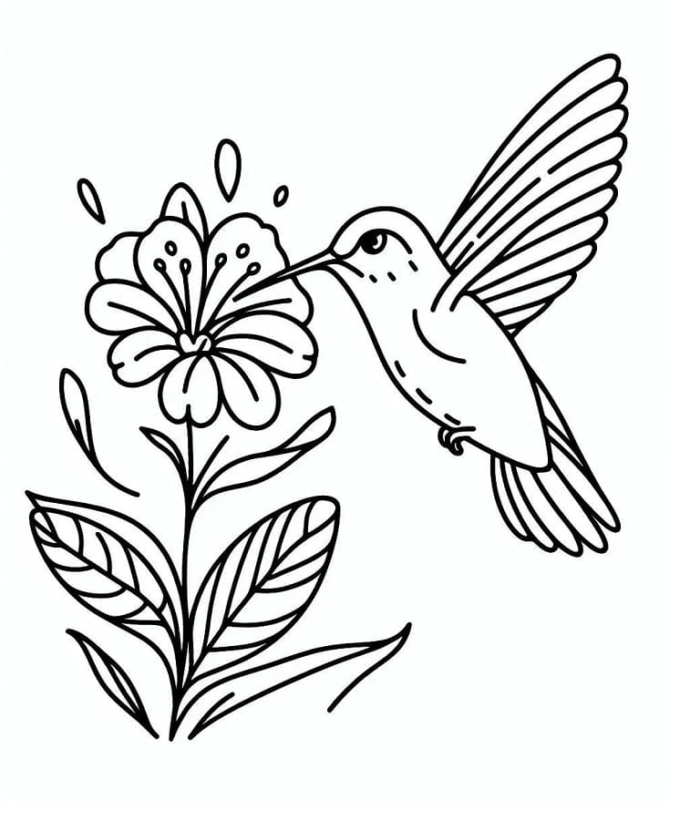 Wunderschöner Kolibri ausmalbilder