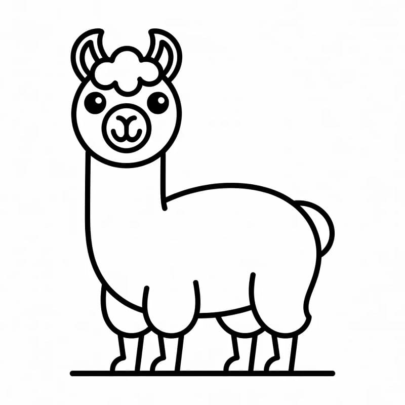 Wunderschönes Lama ausmalbilder