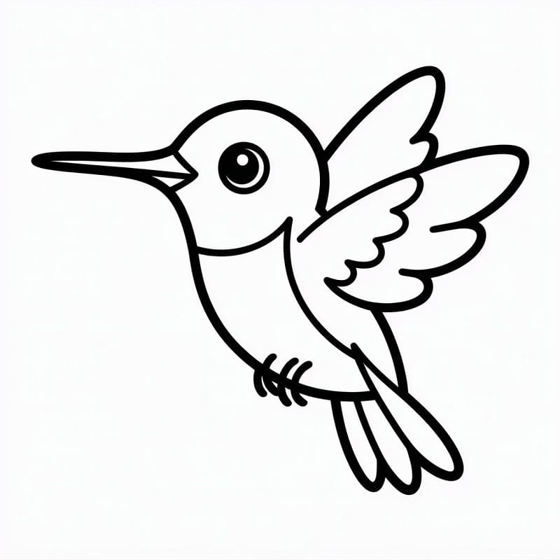 Kolibri ausmalbilder