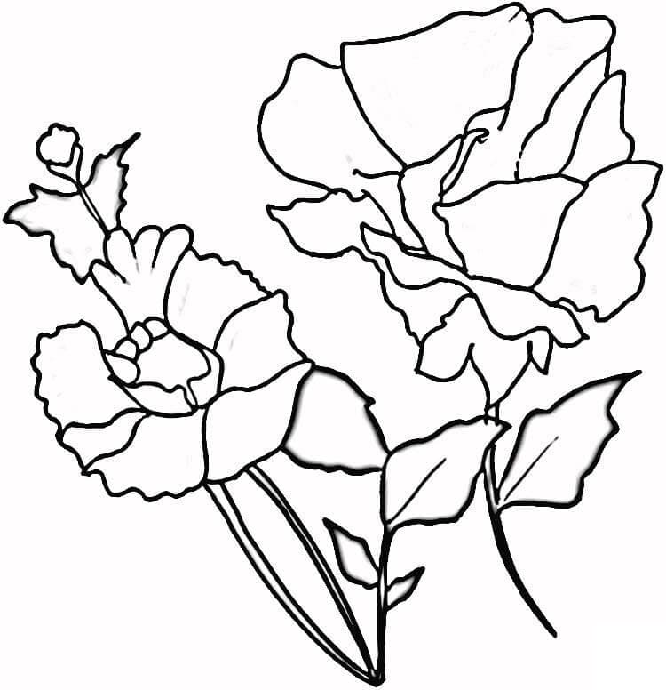 Zum Ausdrucken geeignete Mohnblume für Kinder ausmalbilder