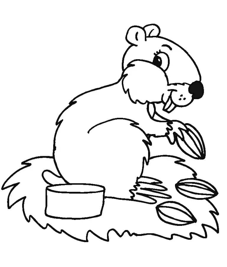 Zum Ausdrucken geeigneter Hamster für Kinder ausmalbilder