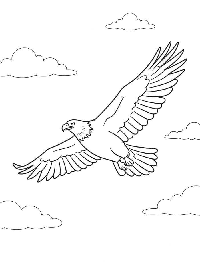 Adler am Himmel ausmalbilder