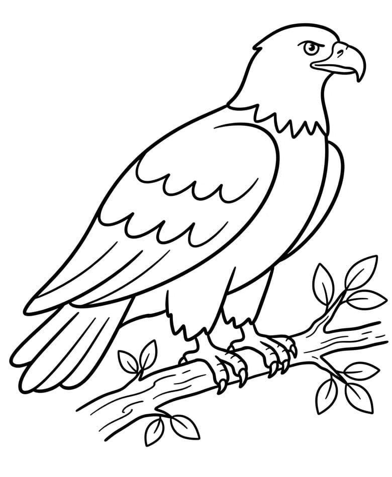 Adler auf einem Ast ausmalbilder
