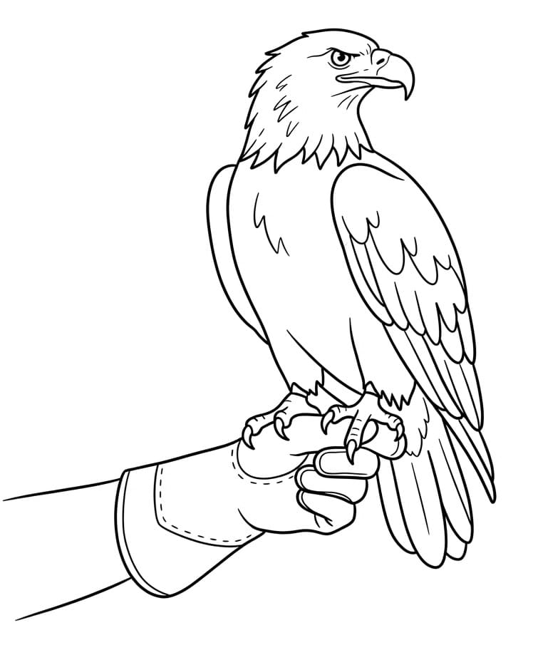 Adler auf einer Hand ausmalbilder