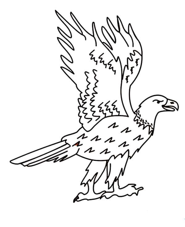 Adler gratis ausmalbilder
