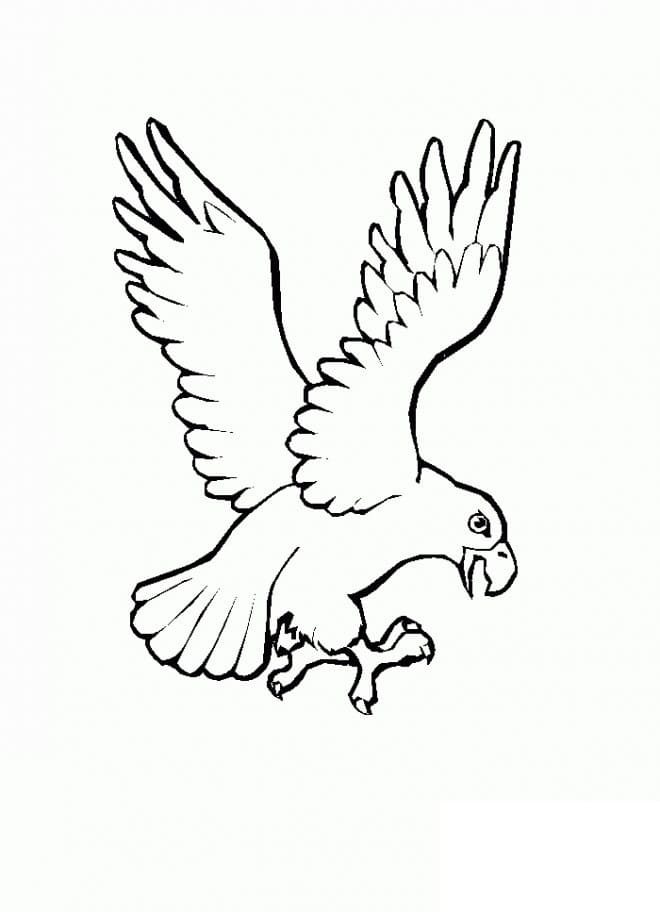 Adler zum Ausdrucken ausmalbilder