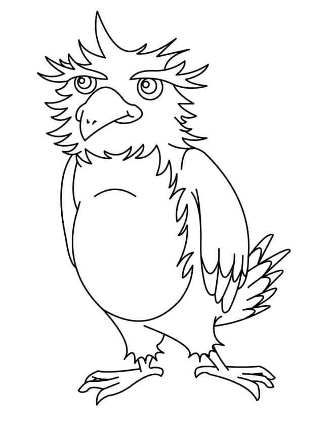Adlerbild ausmalbilder