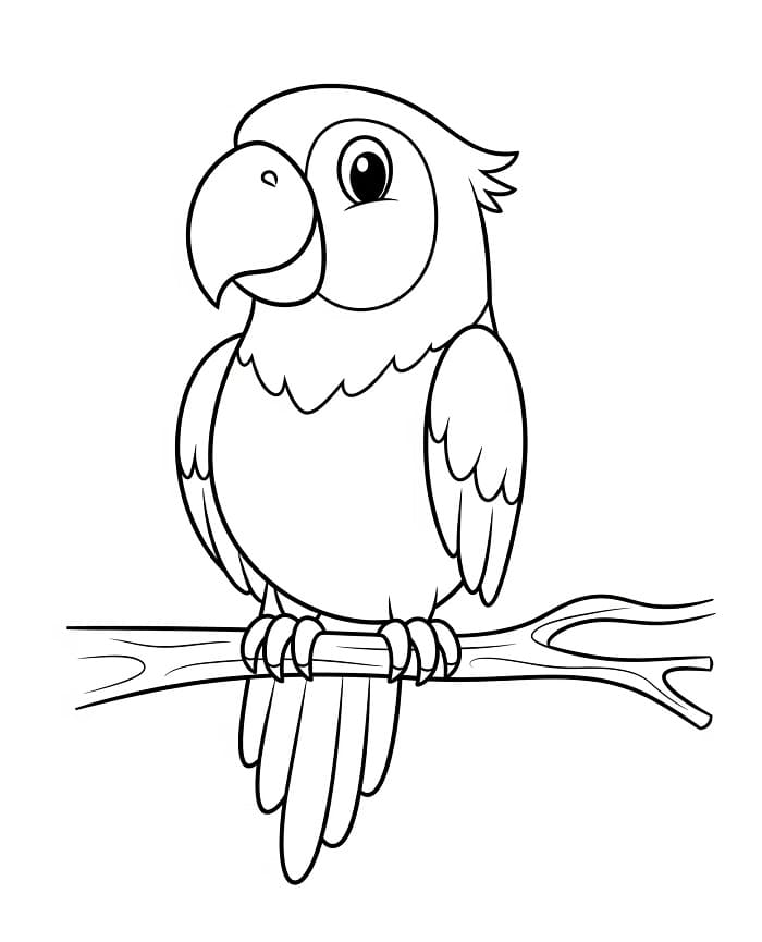 Animated Papagei ausmalbilder