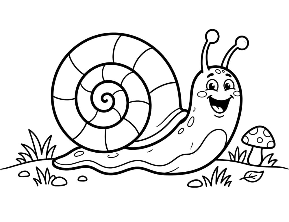 Ausdruckbare Schnecke ausmalbilder