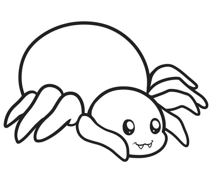 Ausdruckbare Spinne für Kinder ausmalbilder
