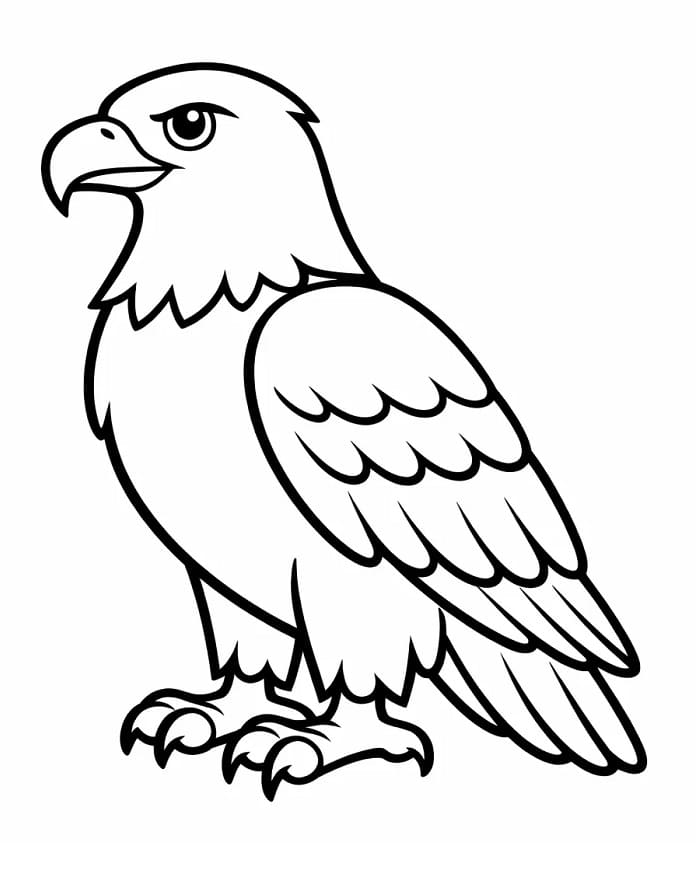 Ausdruckbarer Adler ausmalbilder