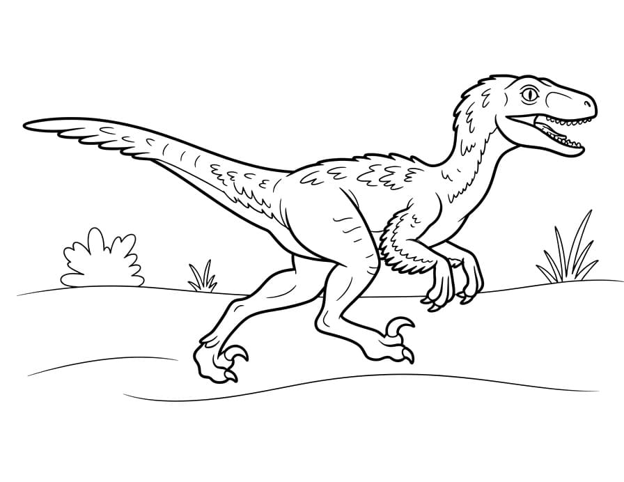 Ausdruckbarer Velociraptor ausmalbilder