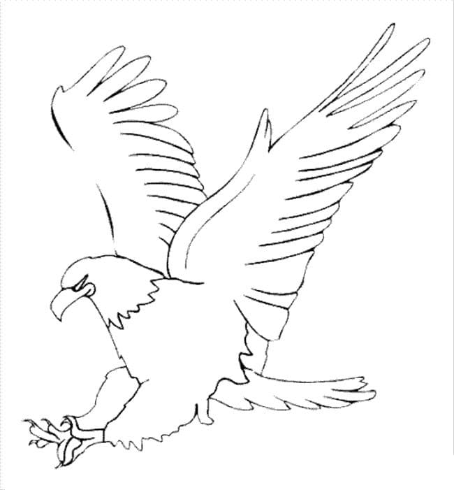 Ausdruckbares Adler-Motiv ausmalbilder