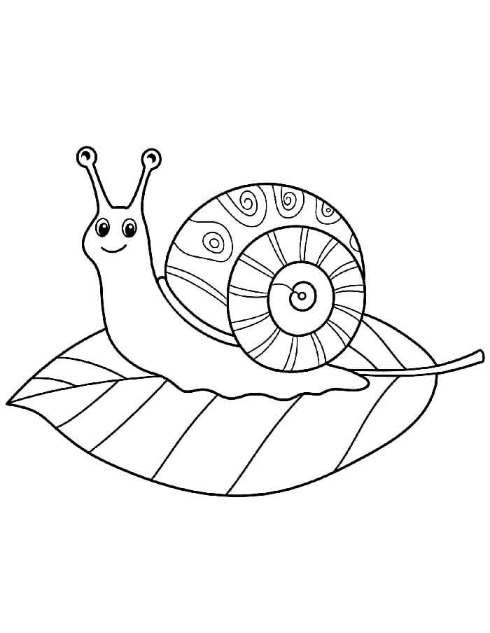 Druckbare Schnecke für Kinder ausmalbilder