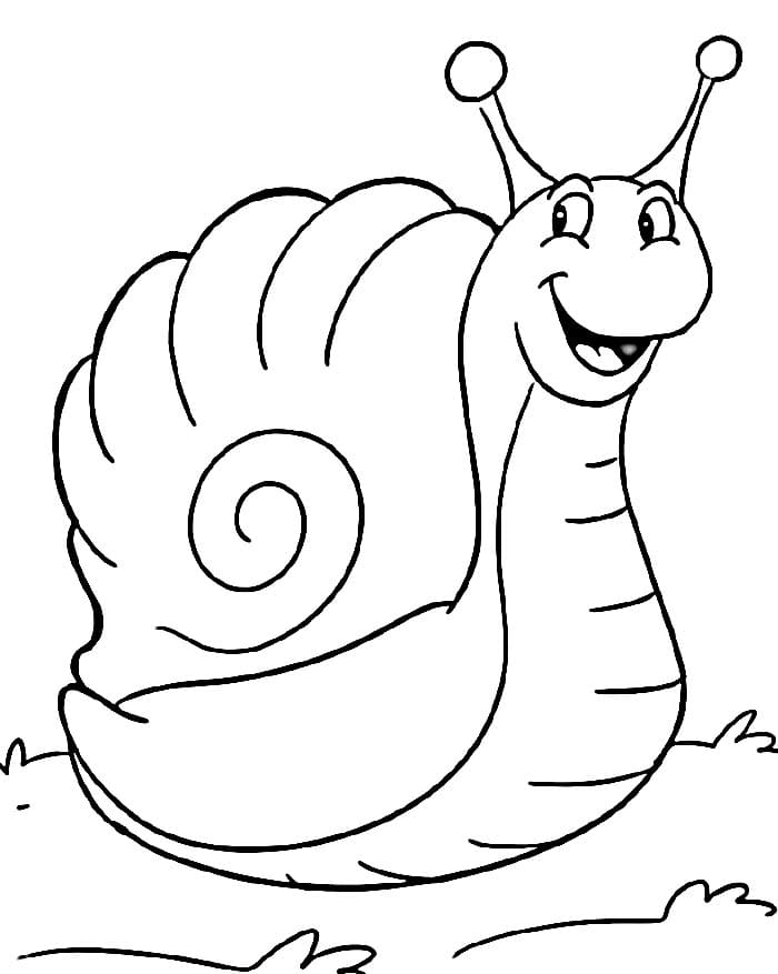 Druckbare Schnecke ausmalbilder