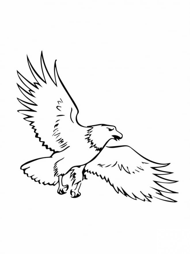 Druckbarer Adler für Kinder ausmalbilder