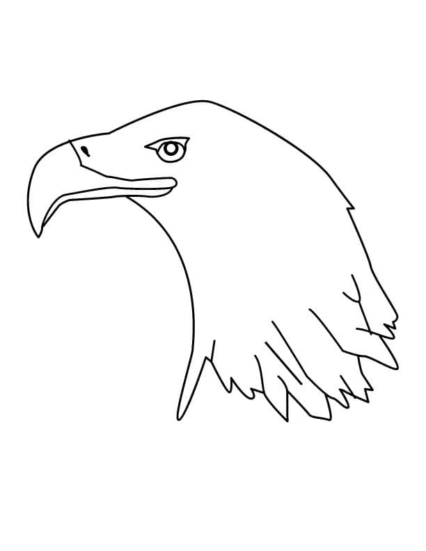 Druckbarer Adler ausmalbilder