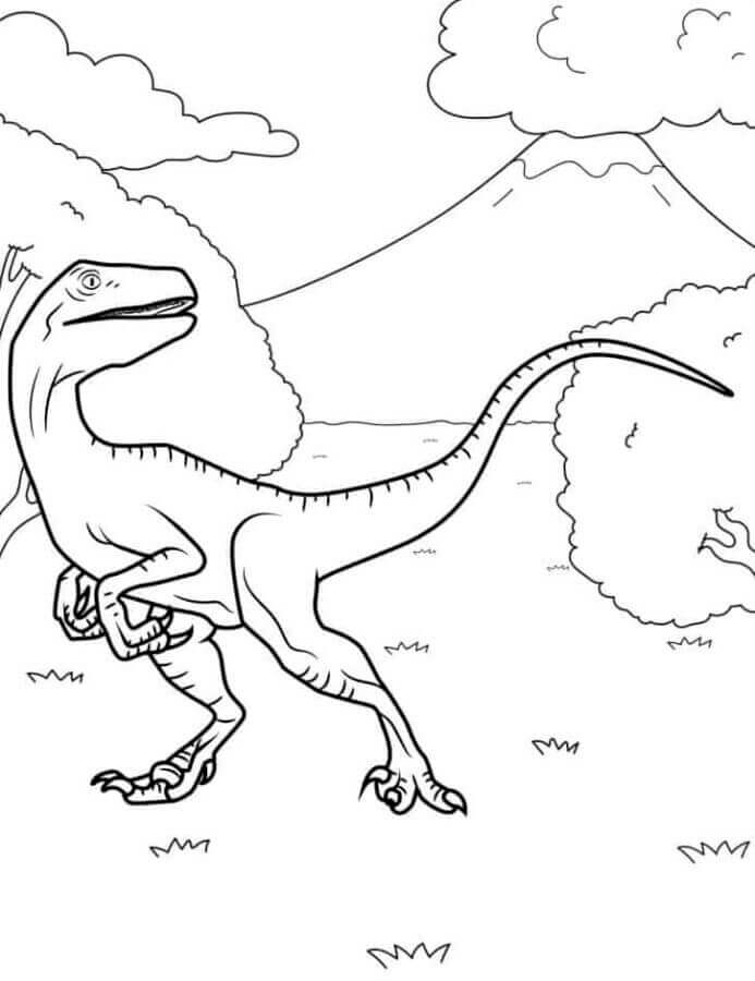 Druckbarer Velociraptor für Kinder ausmalbilder