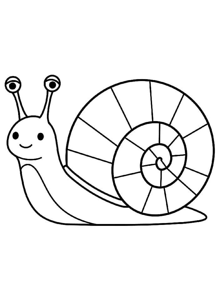 Druckbares Bild einer Schnecke ausmalbilder