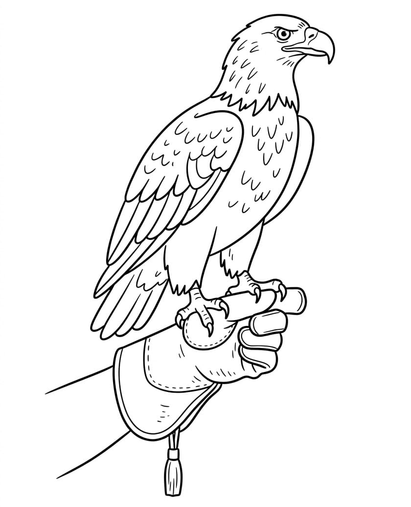 Ein Adler auf einer Hand ausmalbilder
