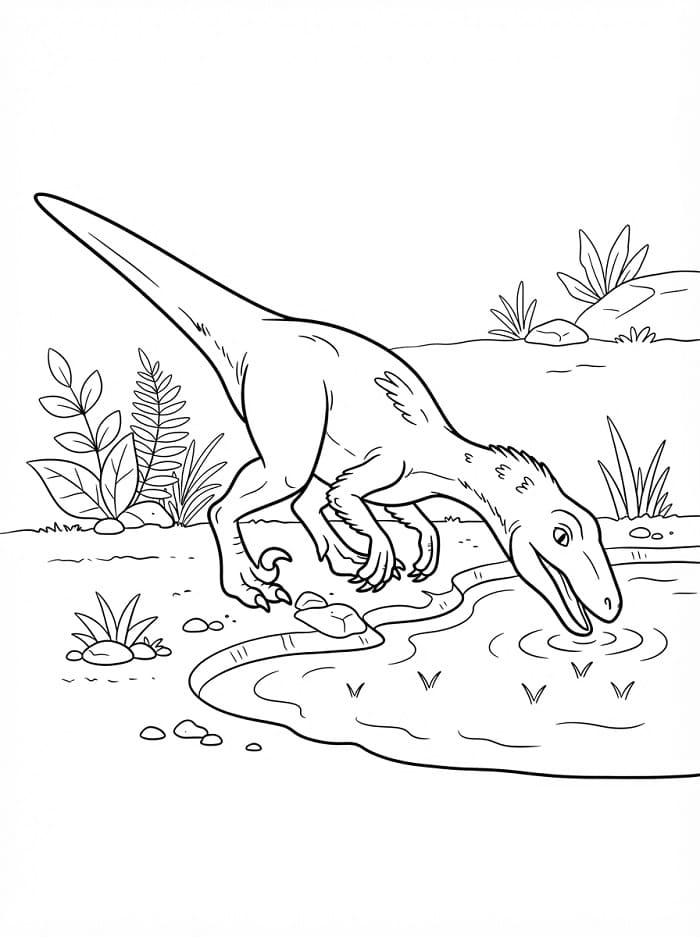 Ein Velociraptor-Dinosaurier ausmalbilder