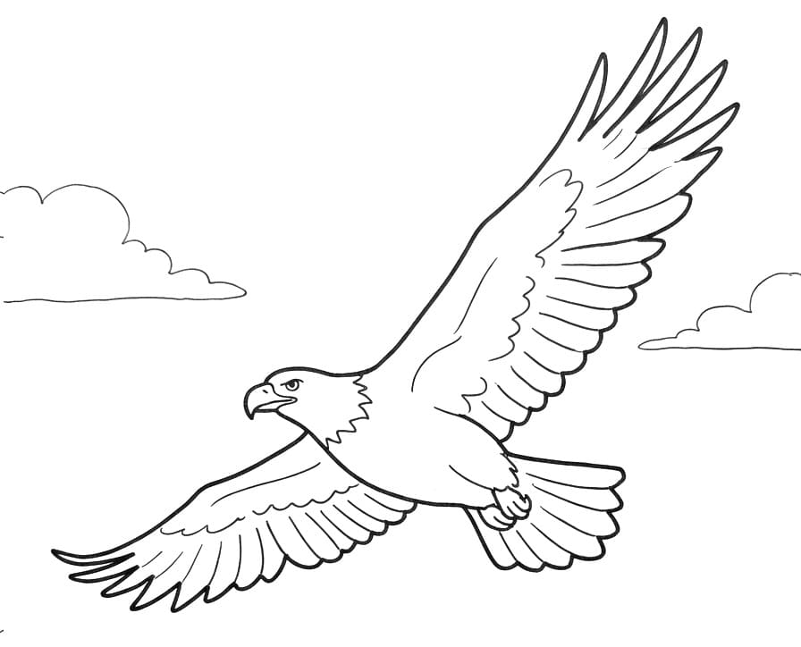 Ein fliegender Adler ausmalbilder