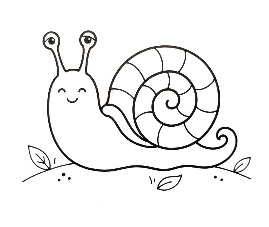 Eine niedliche Schnecke ausmalbilder