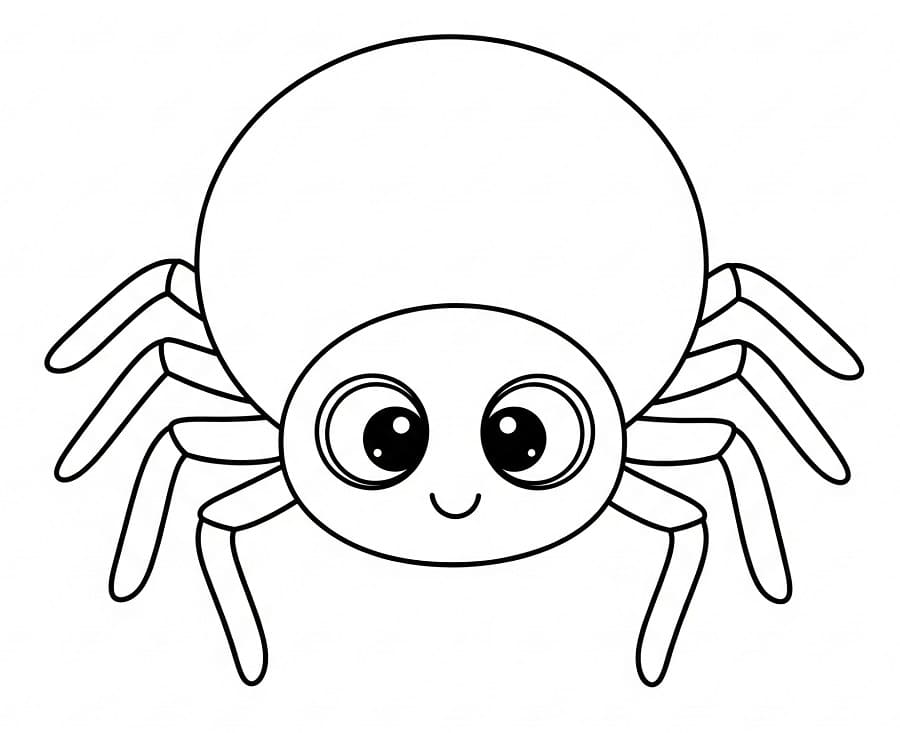 Einfache Spinne ausmalbilder