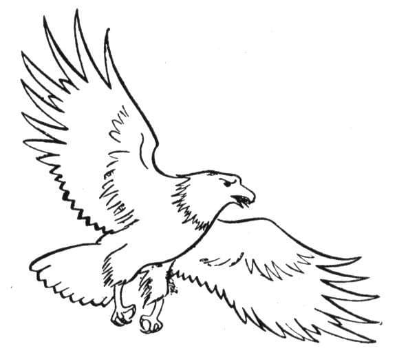 Gratis-Adler für Kinder ausmalbilder