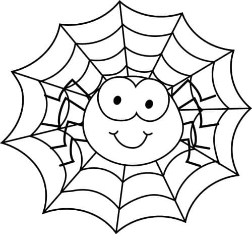 Gratis Spinne für Kinder ausmalbilder