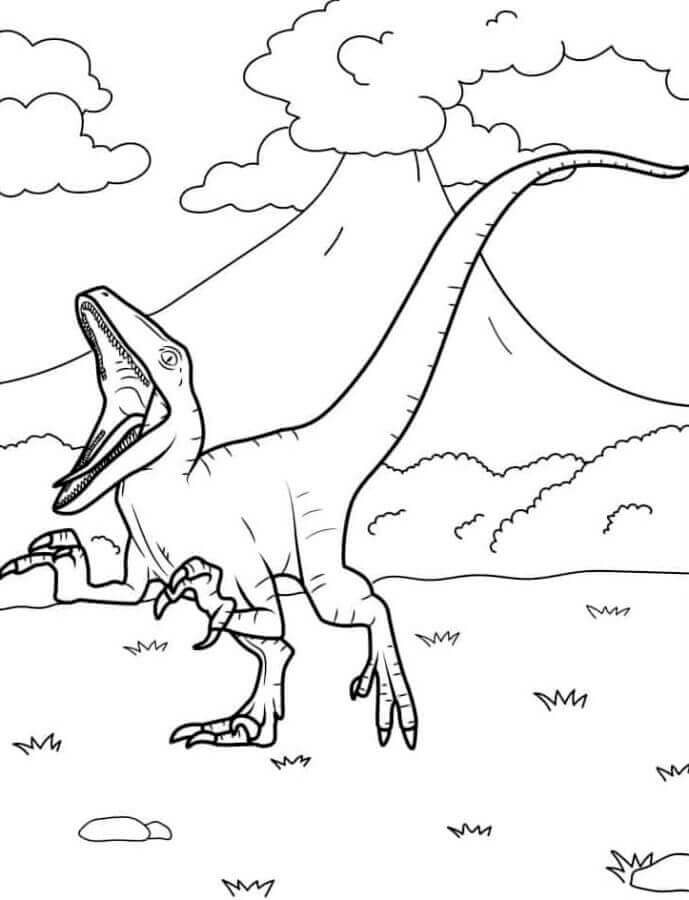 Gratis Velociraptor für Kinder ausmalbilder