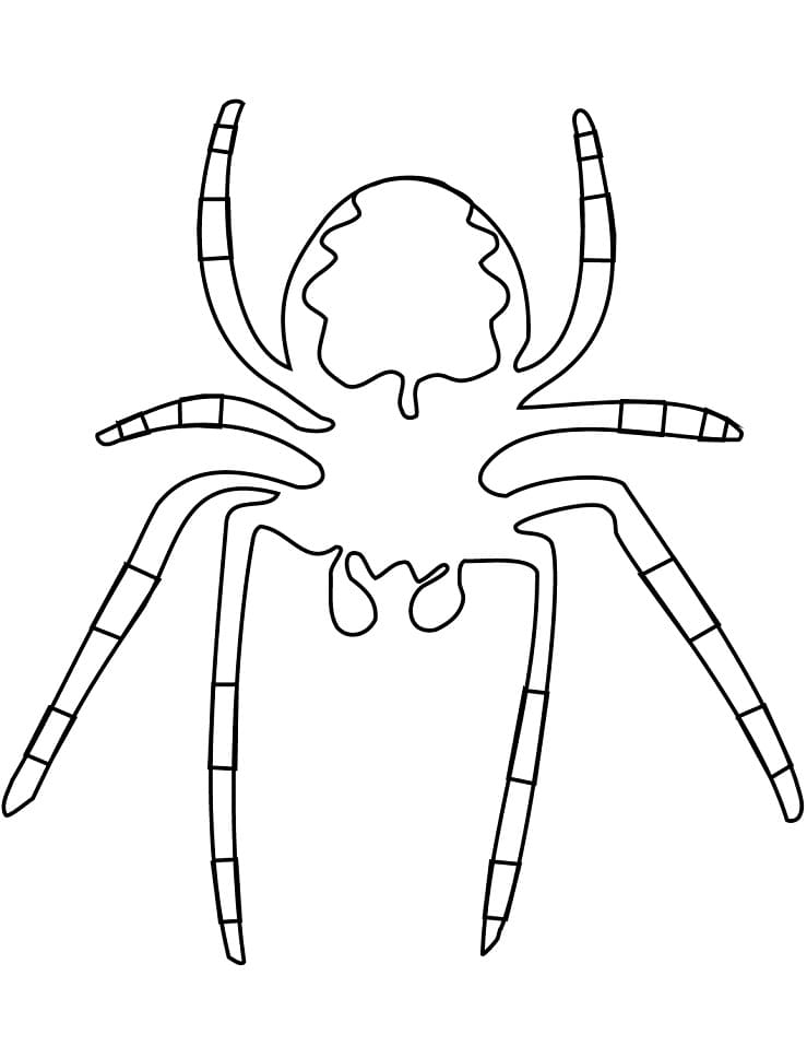 Gratis ausmalbare Spinne ausmalbilder
