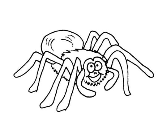 Gratis druckbare Spinne ausmalbilder