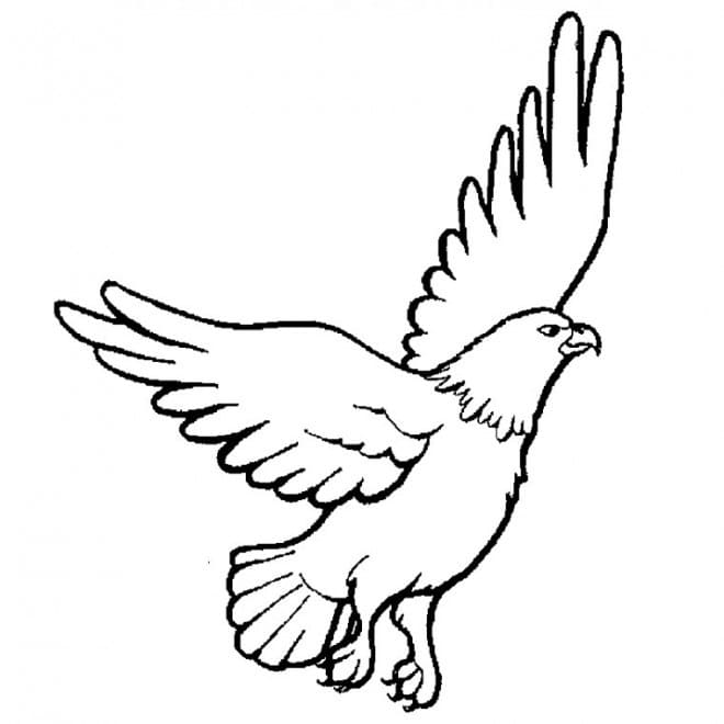Gratis druckbarer Adler ausmalbilder