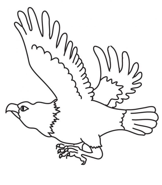 Kostenlos druckbarer Adler ausmalbilder