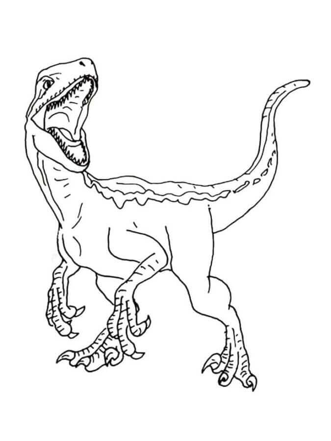 Kostenlos druckbarer Velociraptor ausmalbilder