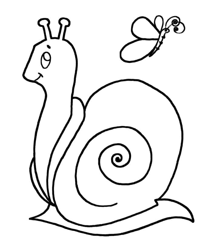 Kostenlose Schnecke zum Drucken ausmalbilder