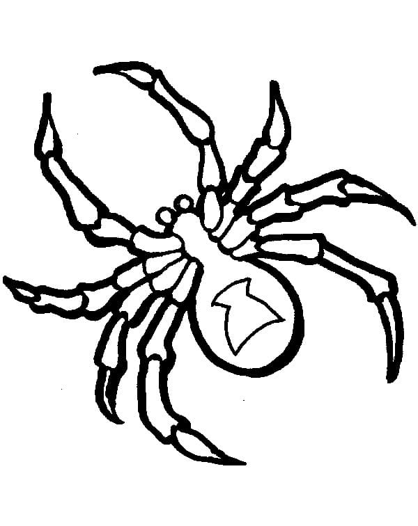 Kostenlose Spinne für Kinder ausmalbilder
