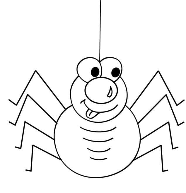 Kostenlose Spinne zum Drucken ausmalbilder