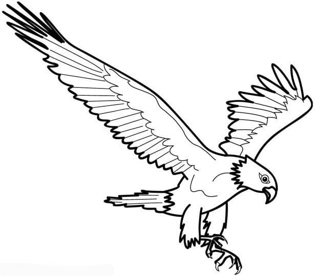 Kostenloser Adler zum Drucken ausmalbilder