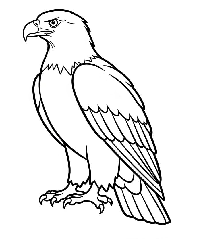 Kostenloser Adler ausmalbilder